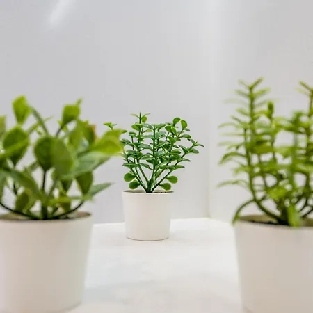 Emerson Plaza Stunning 2 Bedroom With Sea View * Portimão