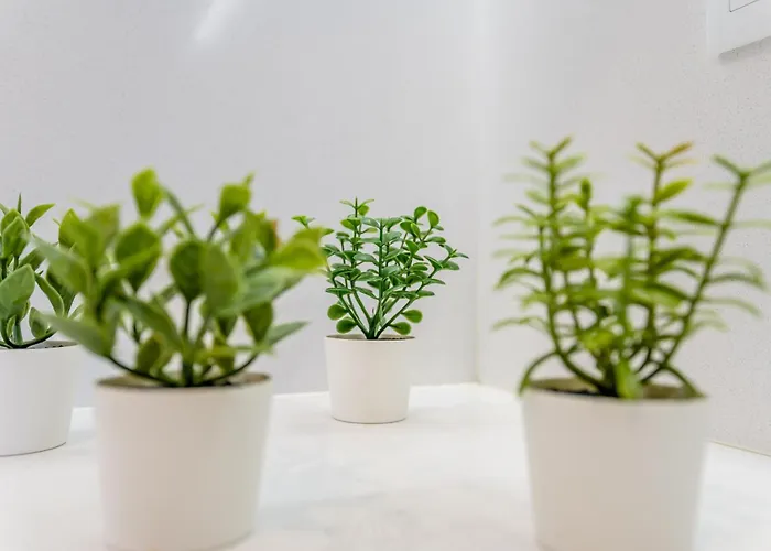 Emerson Plaza Stunning 2 Bedroom With Sea View * Portimão